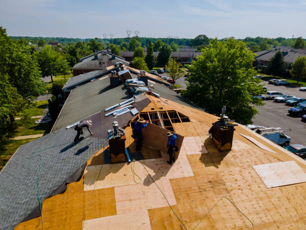 Best Commercial Roofing Services  in New Market, VA