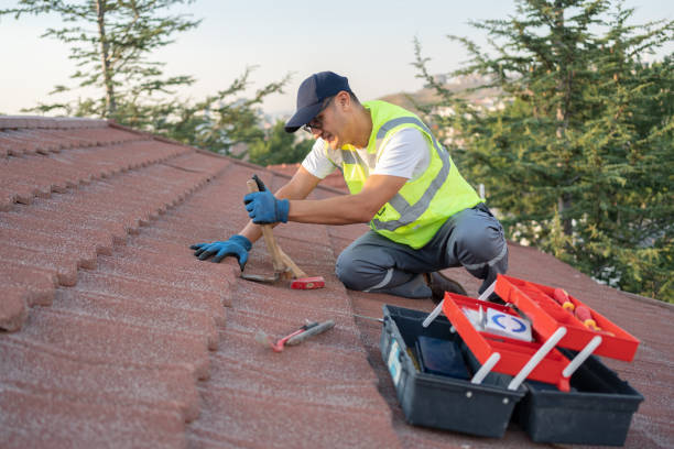 Best Roof Replacement Cost  in New Market, VA